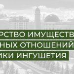 Минимущ_обложка